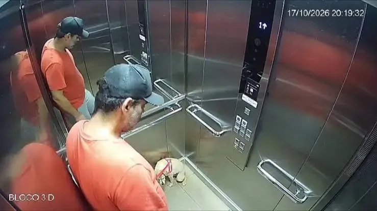 cadela-agredidaelevador.webp