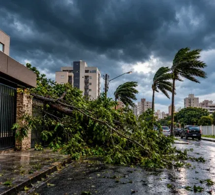 vendavel-uberlandia.webp