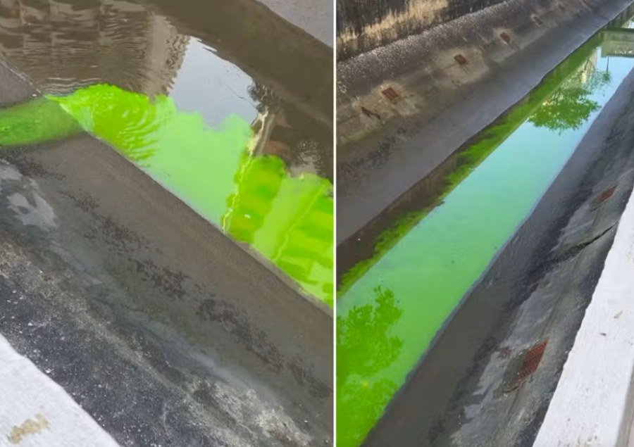 Líquido verde fluorescente invade Canal 7 em Santos; condomínio é multado