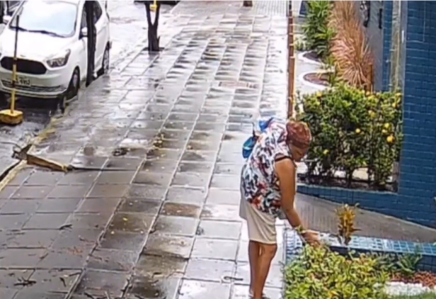Reincidência de furto: pessoas voltam a roubar plantas de jardim em condomínio de Boa Viagem