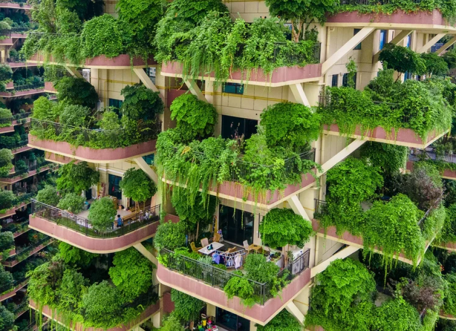 Condomínio pode proibir planta na varanda? entenda o que diz a lei