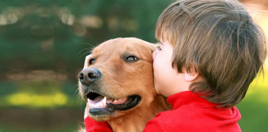 Justiça garante a criança autista direito de circular com cão de suporte em condomínio de Recife