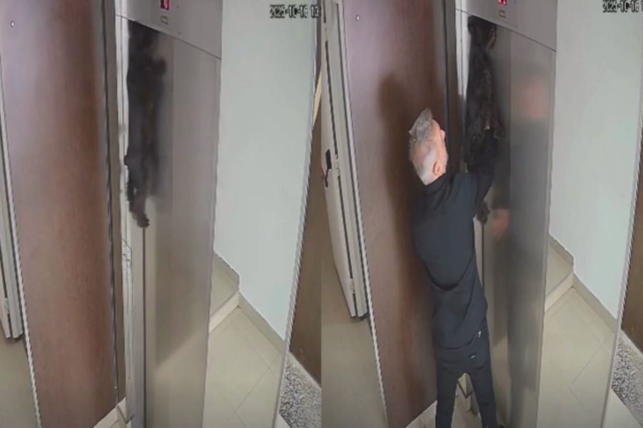 Vizinho salva cachorro preso pela guia em elevador e impede tragédia em prédio na Argentina