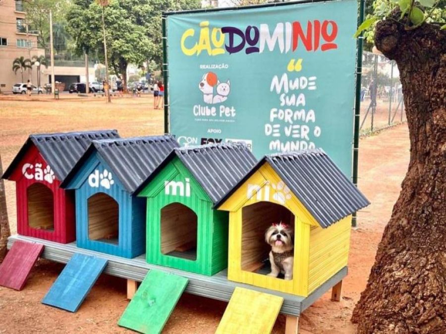 Câmara aprova projeto que libera cuidados com animais comunitários em condomínios do DF