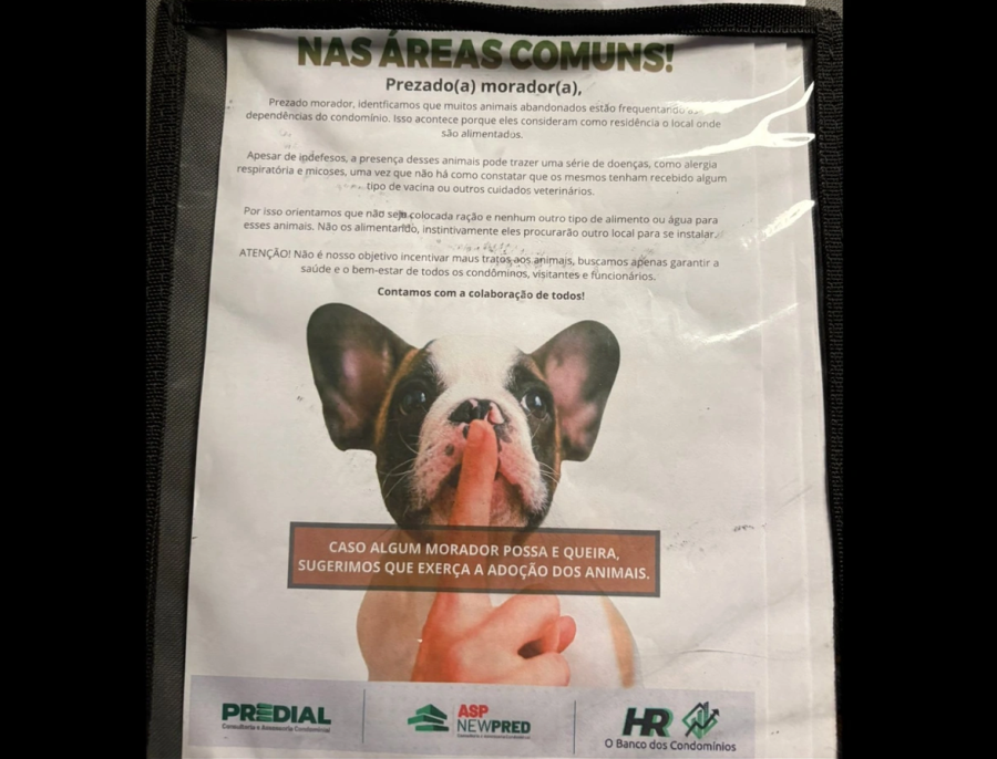 Moradores se revoltam com aviso para não alimentar animais abandonados em condomínio de Teresina