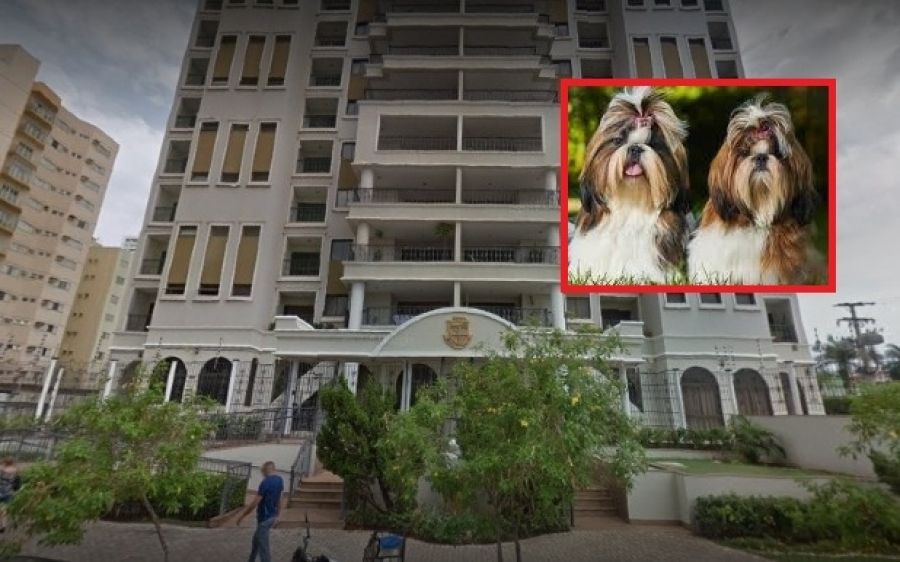 Justiça de Cuiabá garante direito de moradora circular com pets em áreas comuns de condomínio