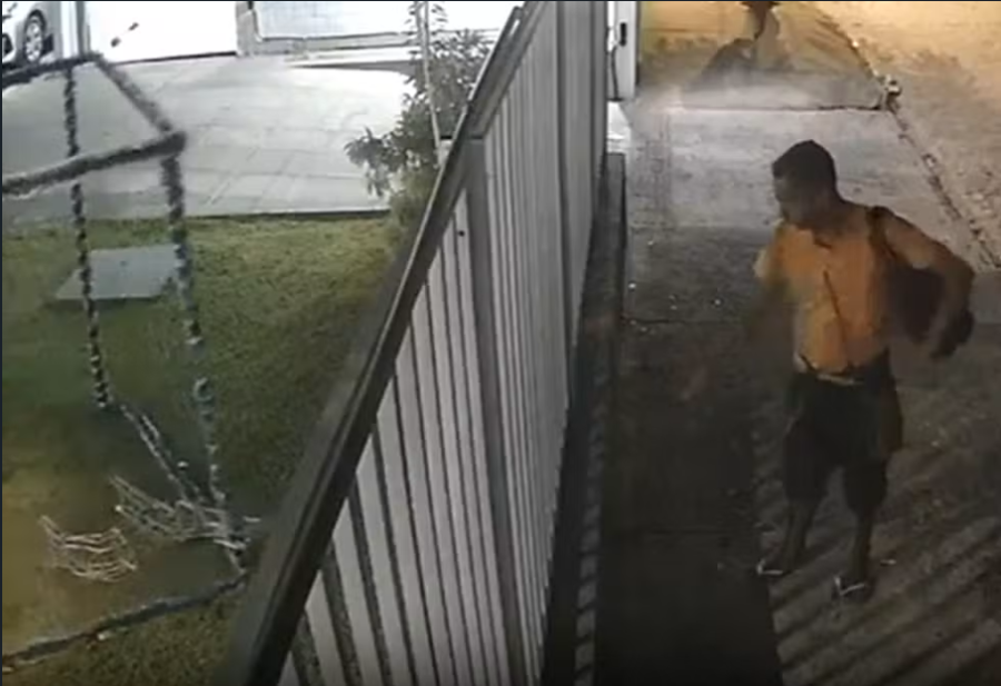 Vídeo flagra homem furtando renas da decoração natalina de condomínio no Recife