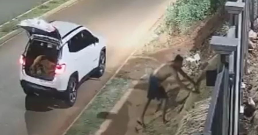 Ladrão furta placas de grama em obra de condomínio e foge em Jeep Compass, em Araraquara