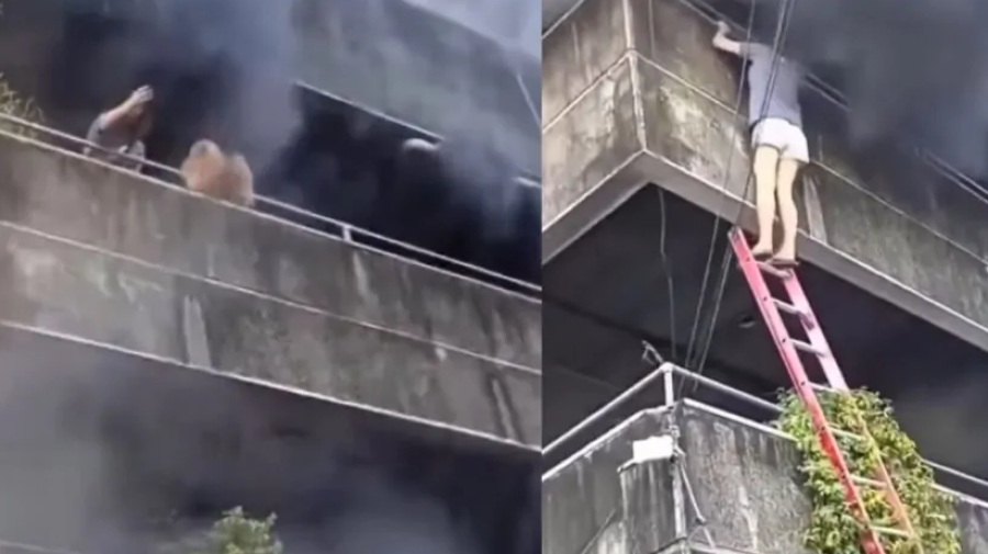 Mulher lança cães pela varanda para salvá-los durante incêndio em apartamento