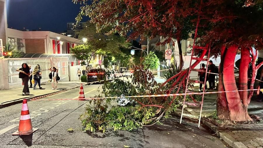 Funcionário de condomínio morre após cair de escada durante poda de árvore em área comum