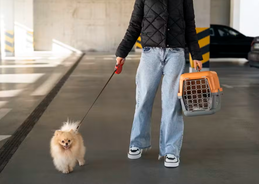 Pets em condomínios: regras essenciais para circular em áreas comuns