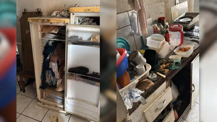 Polícia resgata mais de 40 gatos em apartamento após denúncia de maus-tratos em condomínio de Mairinque (SP)