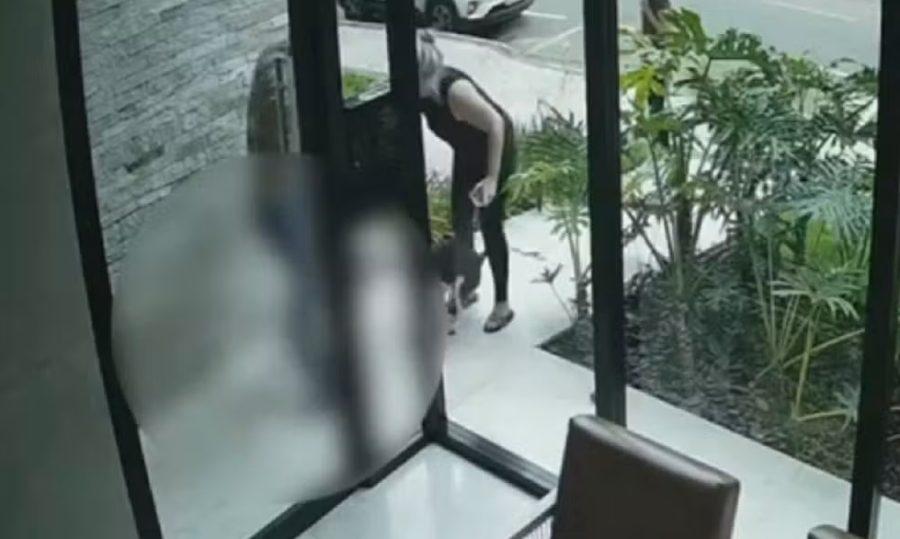 Pitbull sem controle ataca cadela na porta de prédio em Juiz de Fora e assusta moradores