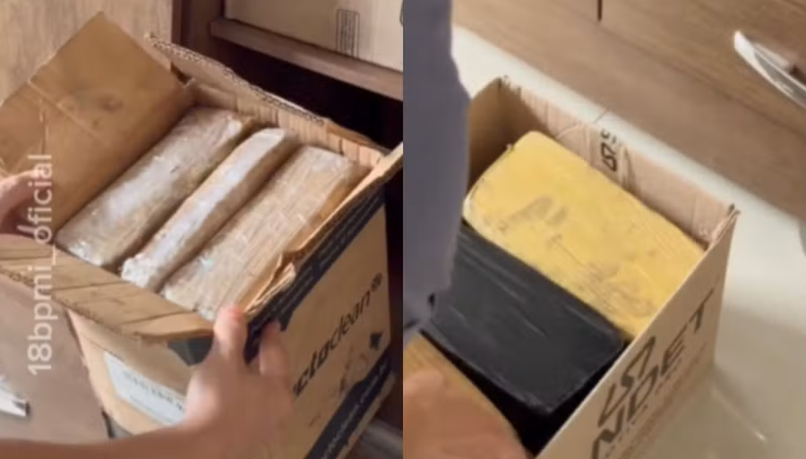 Vistoria em apartamento de Presidente Prudente encontra estoque de maconha em geladeira e pistola municiada