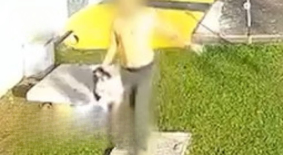 Homem é flagrado agredindo cachorro em condomínio no Pará e caso vira polícia