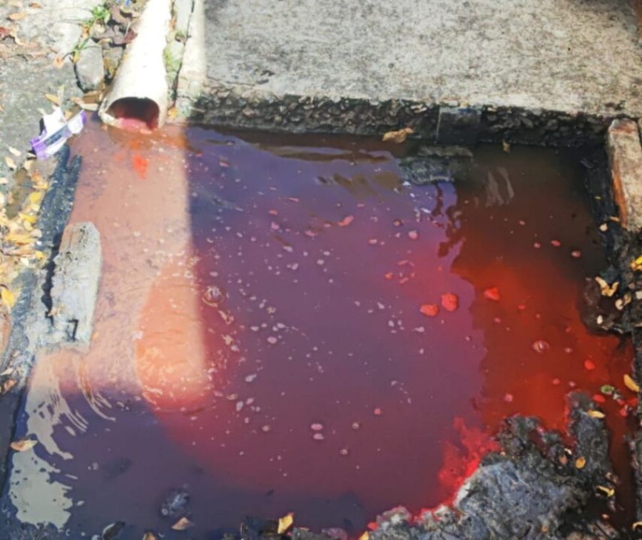 Síndico de condomínio em Maceió é detido por crime ambiental após lançamento irregular de esgoto no rio Jacarecica