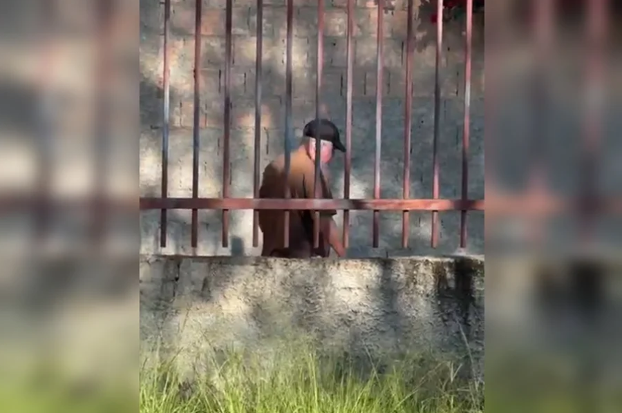Morador relata ameaças em condomínio de Arniqueira por conluio com síndico