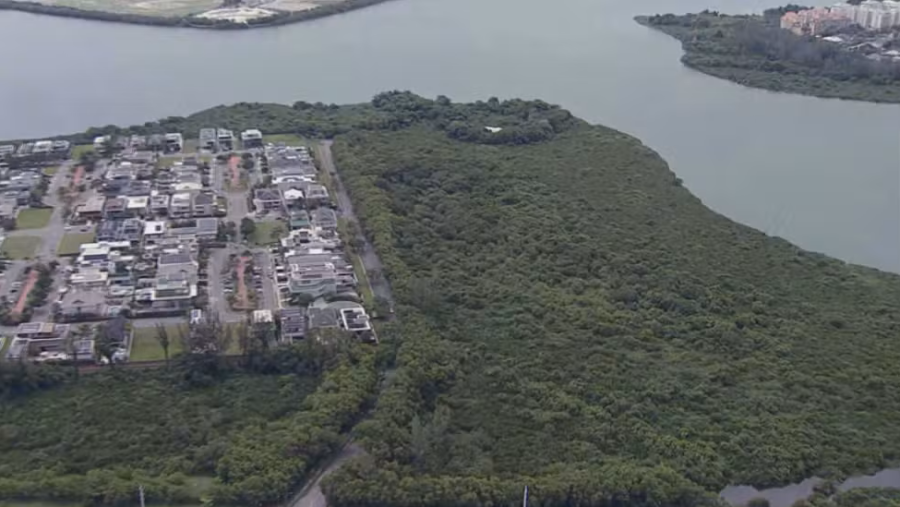 Ministério Público recomenda barrar condomínio que prevê corte de quase 900 árvores na Barra da Tijuca