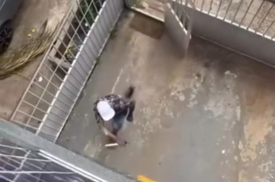 Ladrão invade apartamento no Distrito Federal, é confrontado por morador e acaba preso