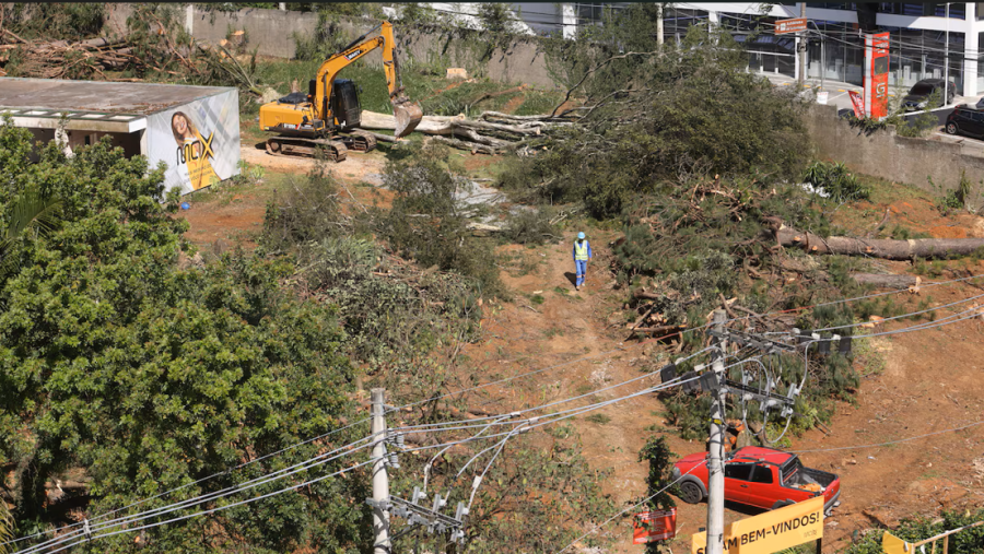 Justiça mantém suspensão de obras e corte de árvores para construção de prédios na zona oeste de SP