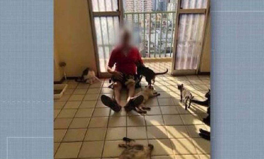 Casal é investigado por manter cerca de 150 gatos em apartamentos de condomínio em Belém