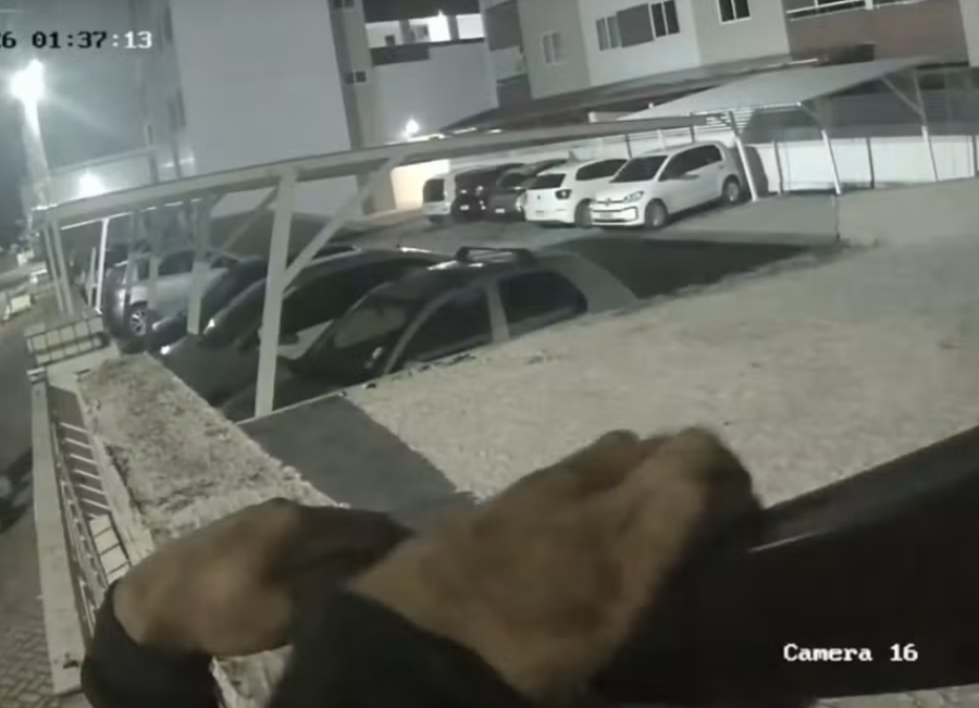 Homem é preso após tentar invadir condomínio residencial em João Pessoa