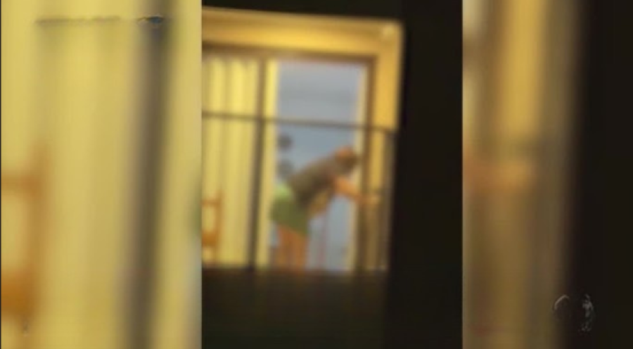Moradores denunciam suspeita de maus-tratos a cão em apartamento de Águas Claras (DF)