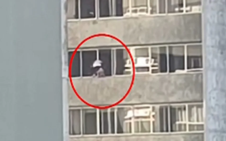 Mulher é flagrada limpando janela no 9º andar sem proteção em prédio no bairro Bigorrilho, em Curitiba