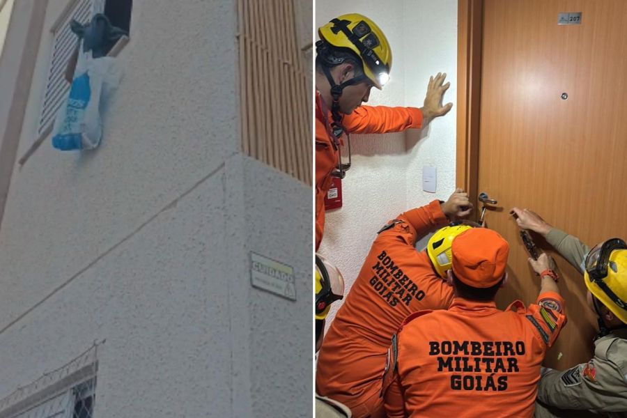 Menino encontrado trancado em apartamento vivia em meio a lixo, urina e comida estragada