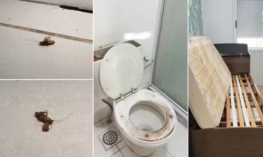 Proprietária recebe apartamento destruído com infestação de baratas e móveis danificados no RS