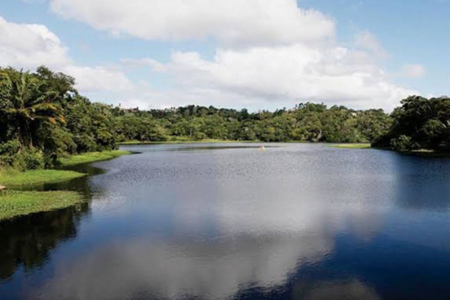 MPF pede indenização de R$ 3,9 milhões por condomínio construído em área de preservação na Bahia