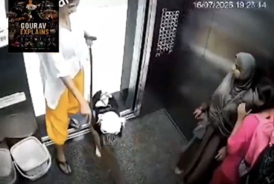 Cachorro causa momento de pânico em elevador e reforça cuidados com pets em condomínios