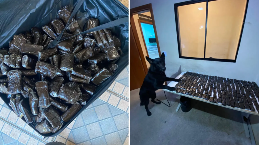 Polícia apreende quase R$ 800 mil em drogas em condomínio de Guarapari durante operação contra o tráfico