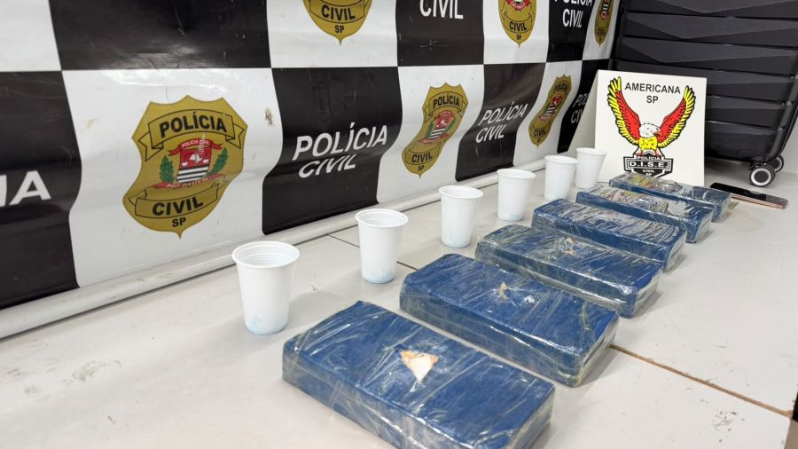 Polícia Civil apreende seis tijolos de cocaína em condomínio e prende mulher em Americana