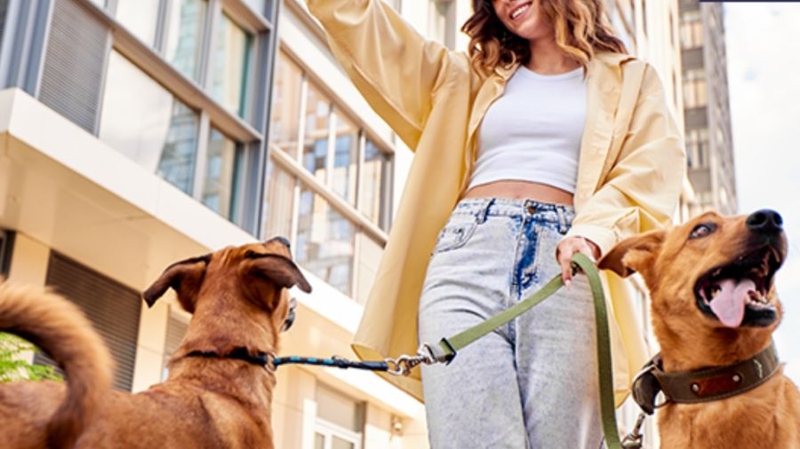Condomínios ampliam espaços para pets e investem em segurança nas áreas comuns