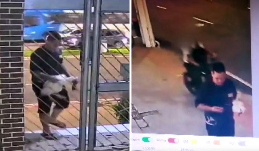 Galo de estimação é levado da entrada de condomínio e caso é registrado em Vitória