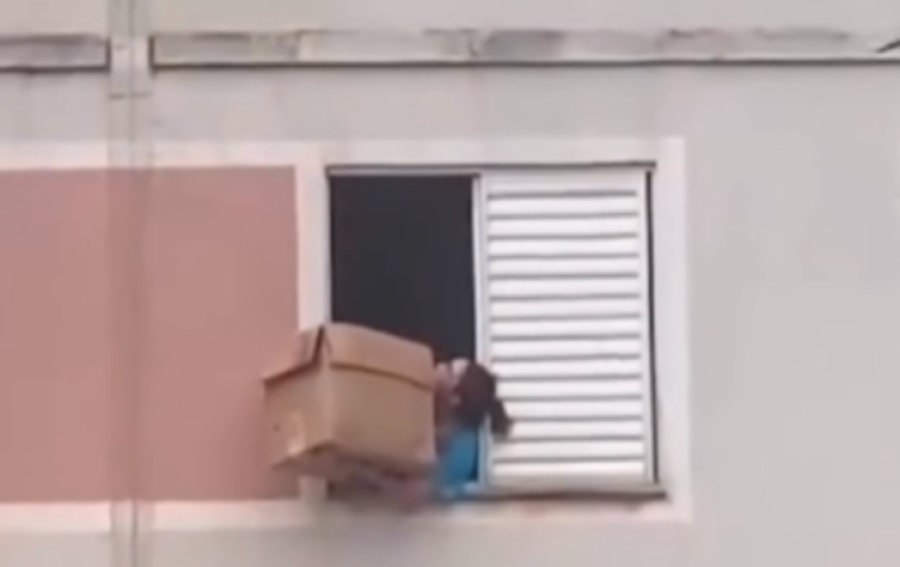 Moradora usa caixa de papelão para resgatar cachorro preso em janela de condomínio