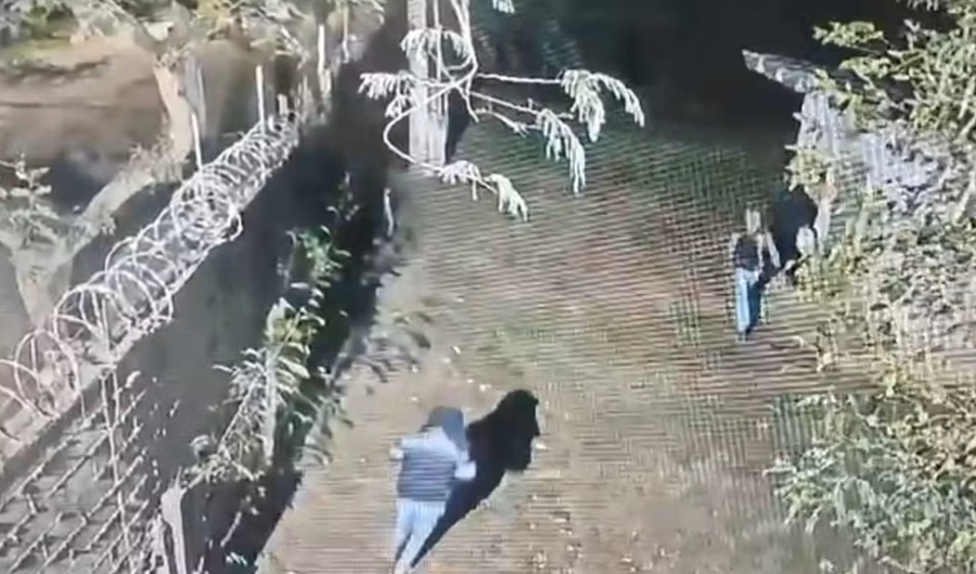 Criminosos armados invadem condomínio de luxo e furtam mansões em Itu (SP)